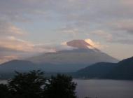 �O�W�^�O�X�^�P�P