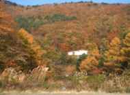 �O�V�^�P�P�^�P�V