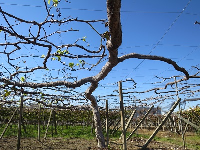 image4